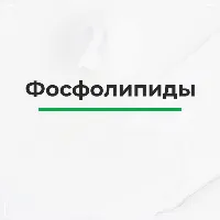 Про фосфолипиды