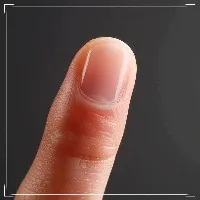 Про строение ногтя