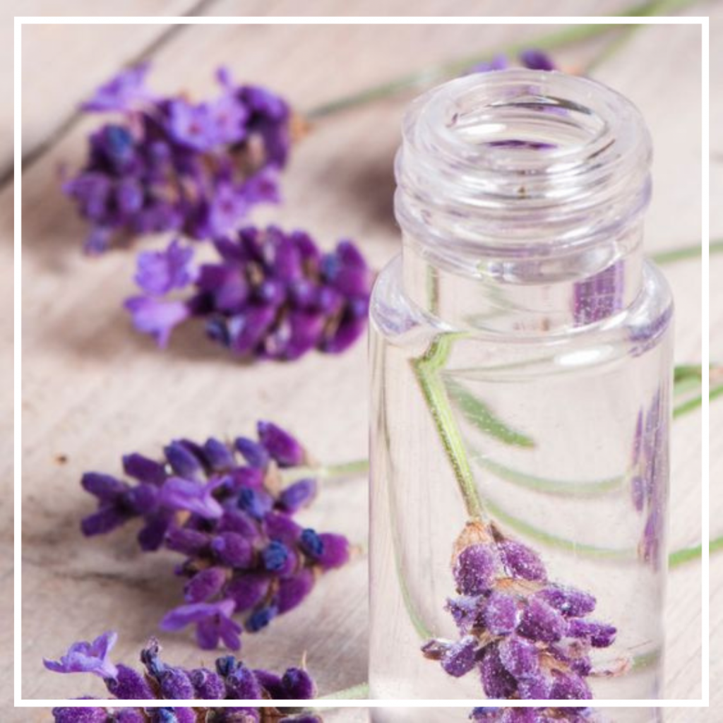 Открыт набор на практический супер-интенсив: «Гидролаты, применение в терапии, косметике и кулинарии»