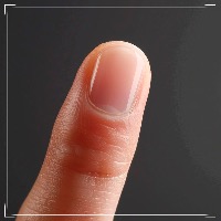 Про строение ногтя